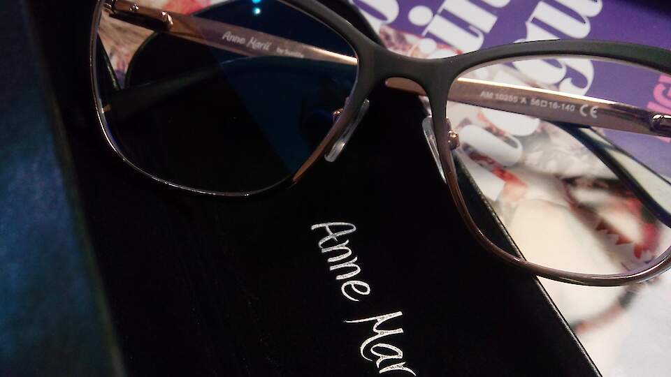 Eritellimusel klaasipuhastuse lapid