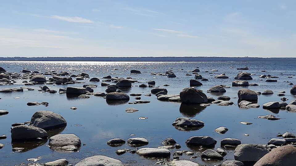 Symposium of Aquatic Microbial Ecology - SAME17