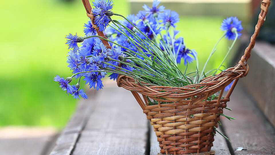 Christelle Cosmetics │ Luonnonkosmetiikka