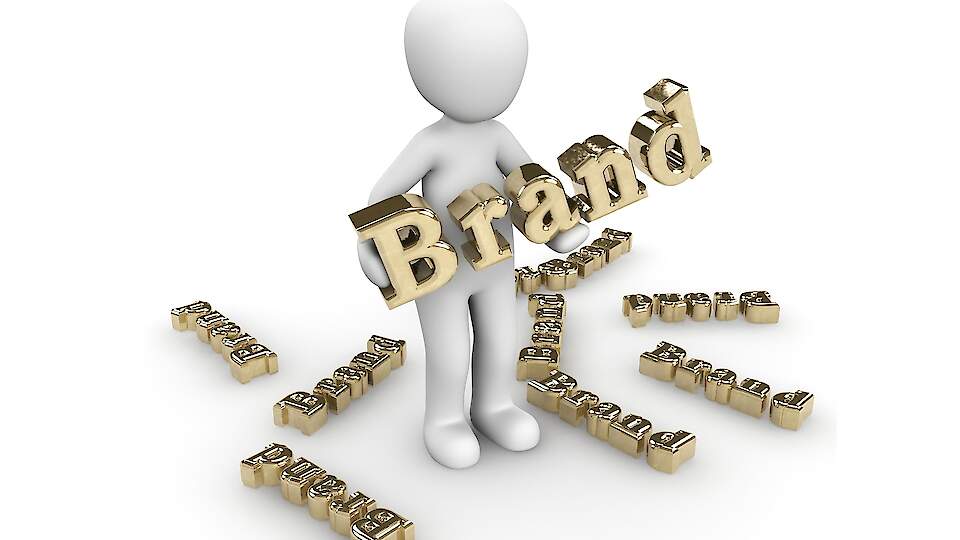 Master Event Branding and Create Memorable Experiences