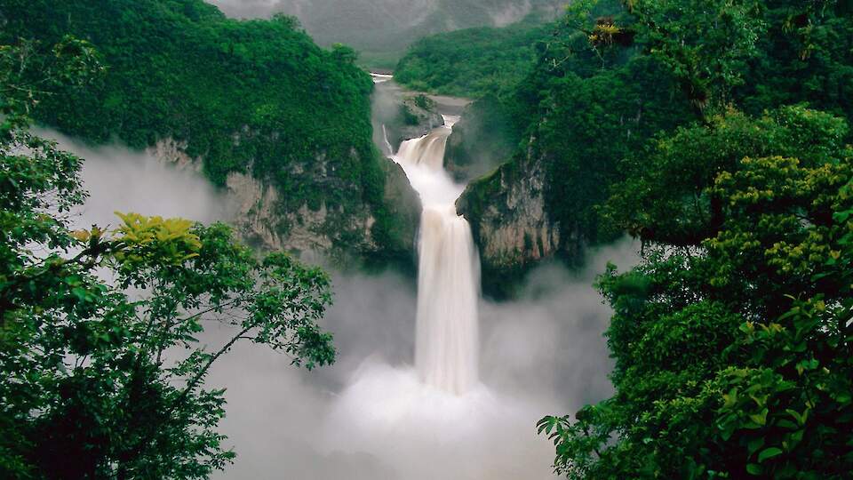 РАЗЛИЧНЫЕ ПРИКЛЮЧЕНИЯ 