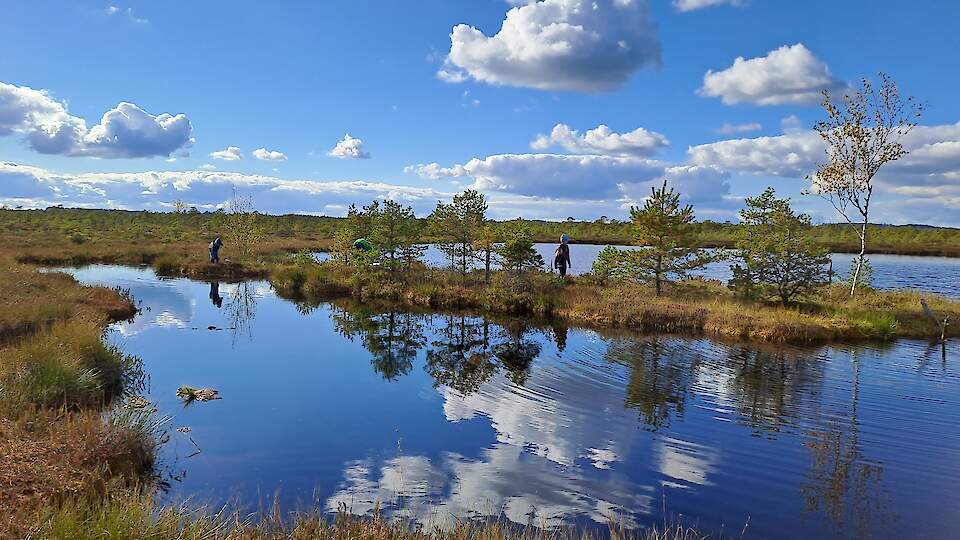 EXCURSION 1. Centre for Limnology, Lake Võrtsjärv and Rubina bog