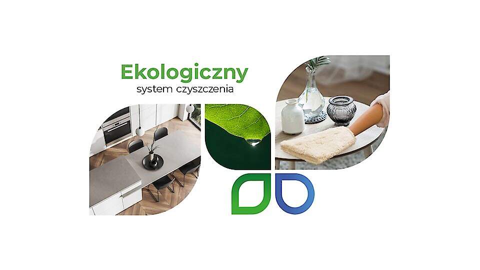 Raypath International | Seilsat OÜ