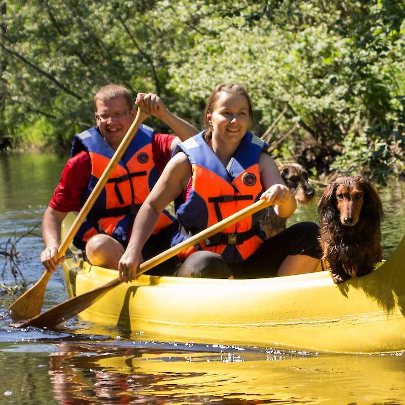 Erilised erialad metsikult heale tegijale    Sessioonõppe 	Metsakasvatus, Taksaator, Arborist, Maastikuehitaja, Matkajuht, Forvarderioperaator, Harvesterioperaator, Metsaväljaveo autojuht, Puukooliaednik, Metsamajanduse spetsialist (jätkuõpe), Puittaimede hindaja (jätkuõpe)