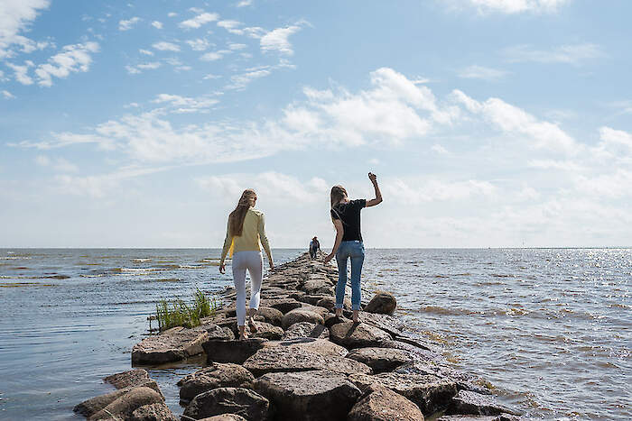Turismi- ja hotelliettevõtlus