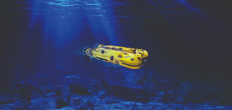 Double Eagle Family - With safety in mind