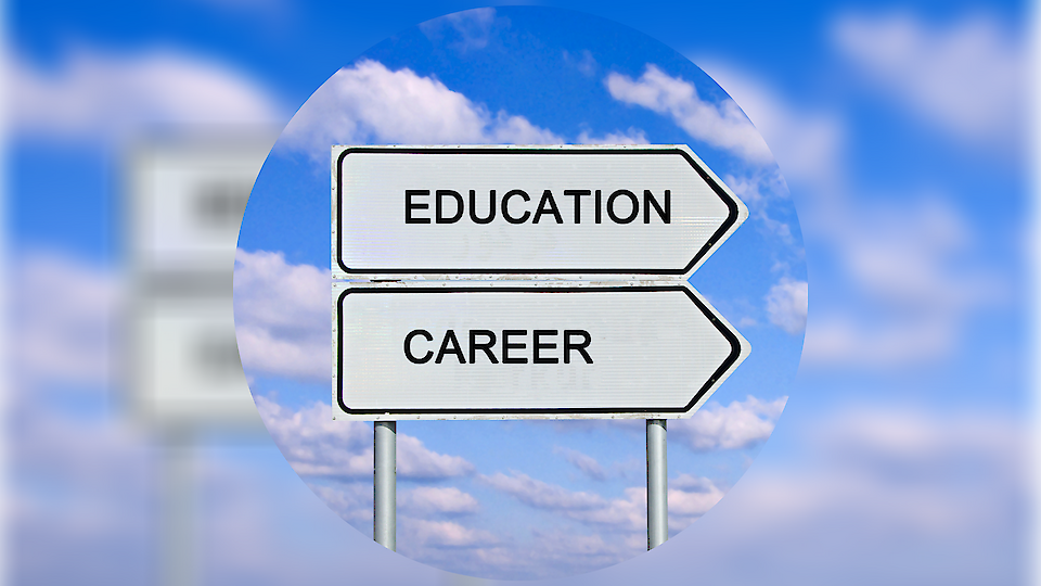 Учебные заведения