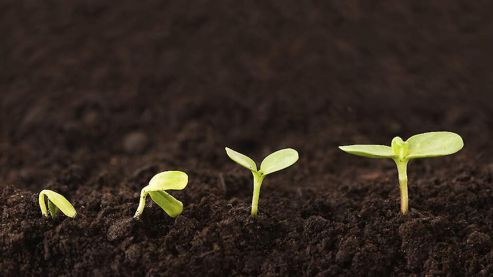 Kodu & Aed Magazine at a Discount!