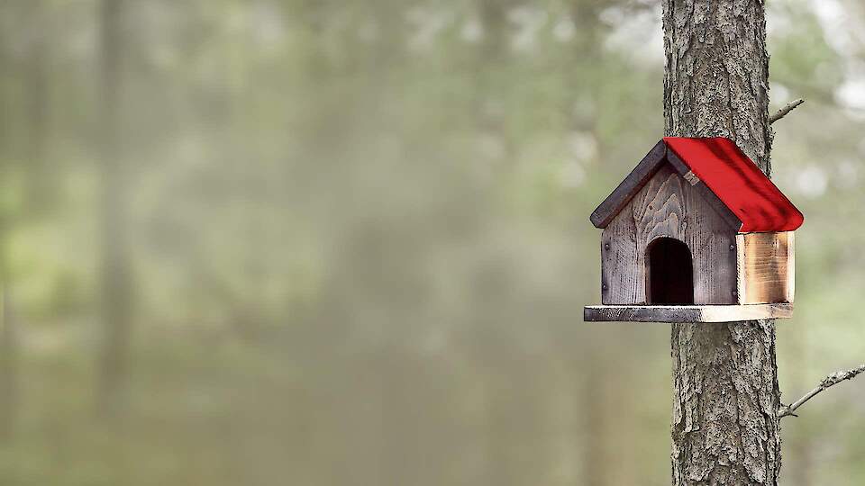 G4S | Small-scale Suriveillance