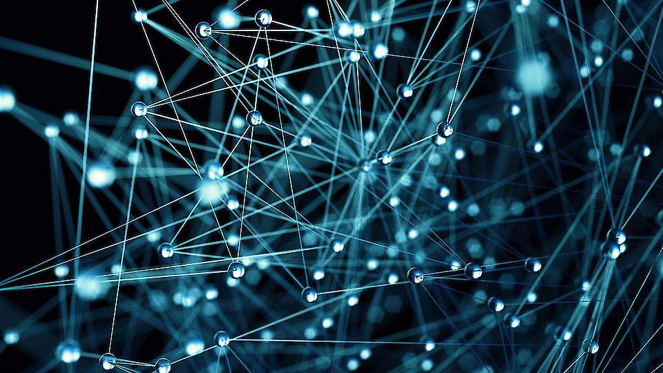 Beehosting | IT Solutions