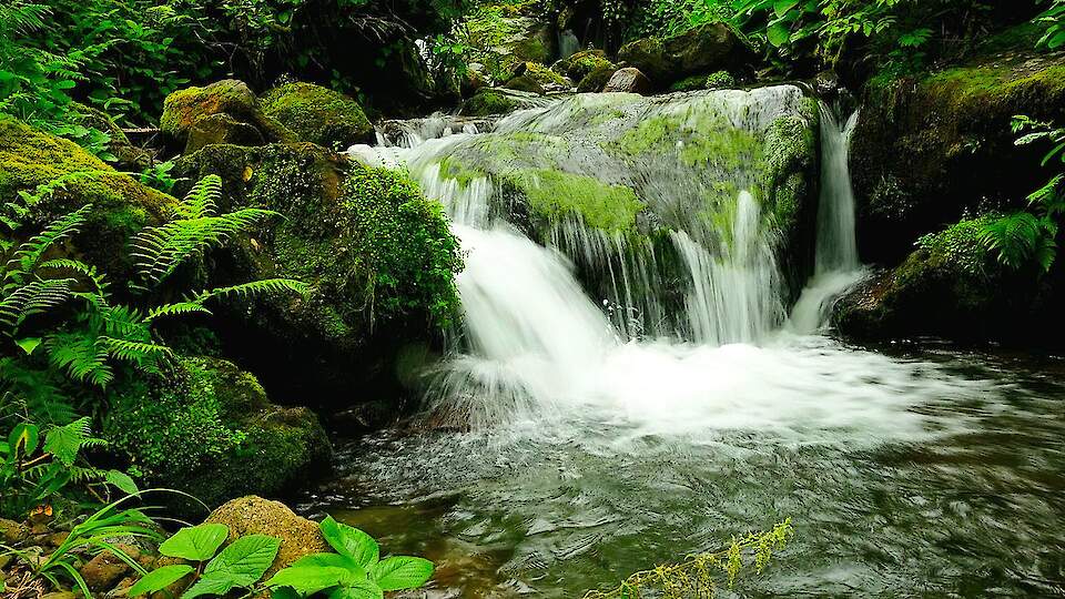 Однодневный тур с гидом | Национальный парк Мтирала