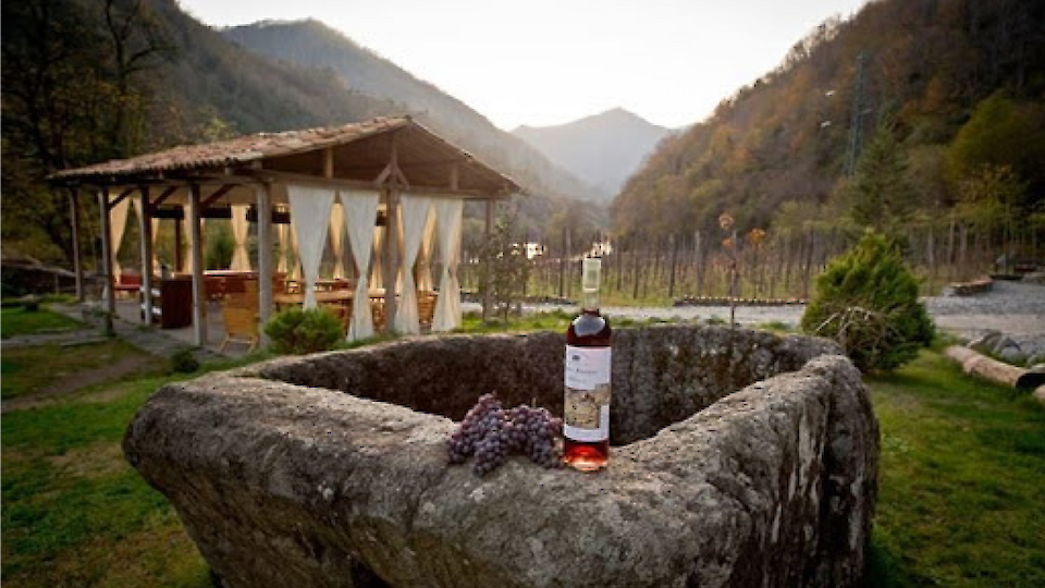 Однодневный тур с гидом | Путешествие в горы и винный тур