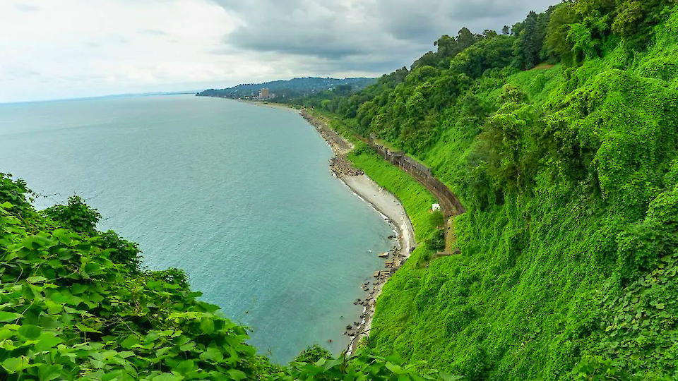 Однодневная экскурсия | Тур в Батумский ботанический сад