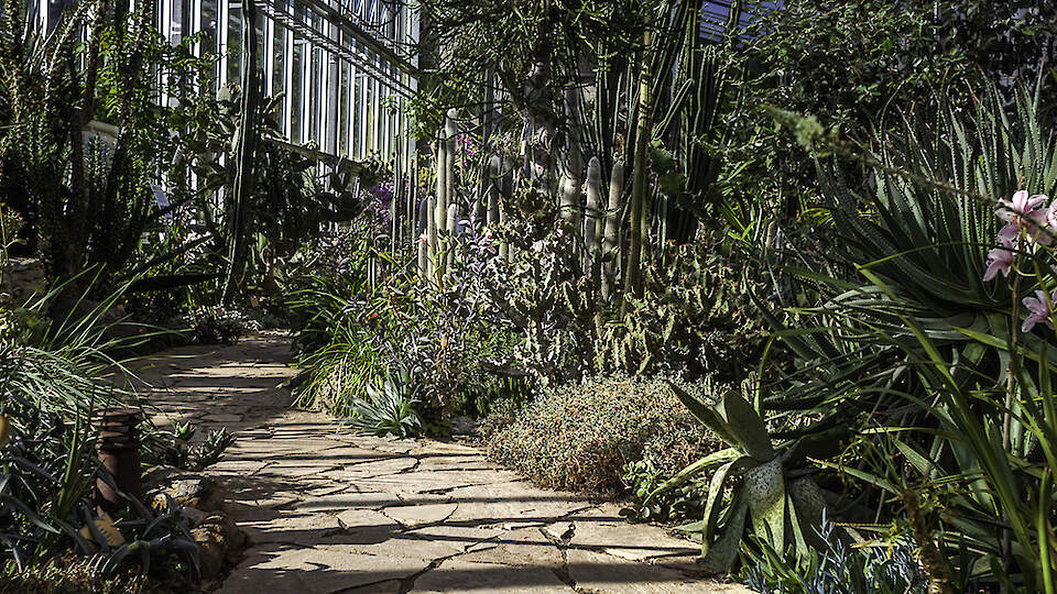 Tule külasta Tallinna Botaanikaaeda