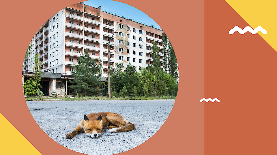 Isiklik ekskursioon Tšernobõli isoleeritud tsoonis