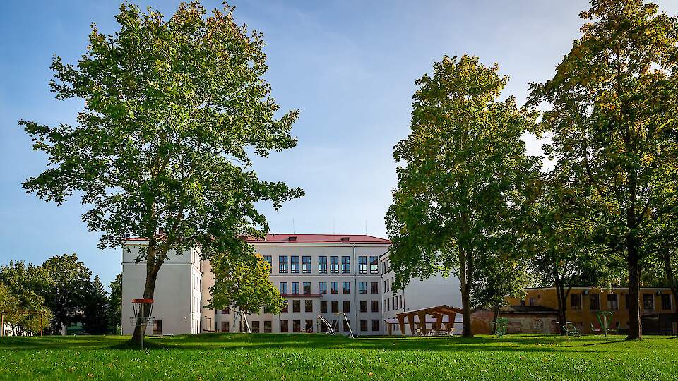 Центральная городская школа