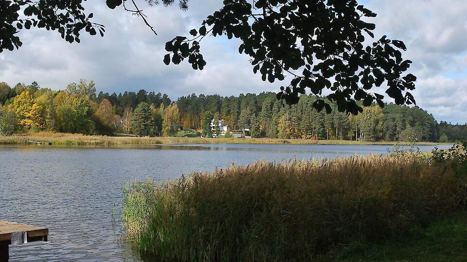 Пляж озера Кубия