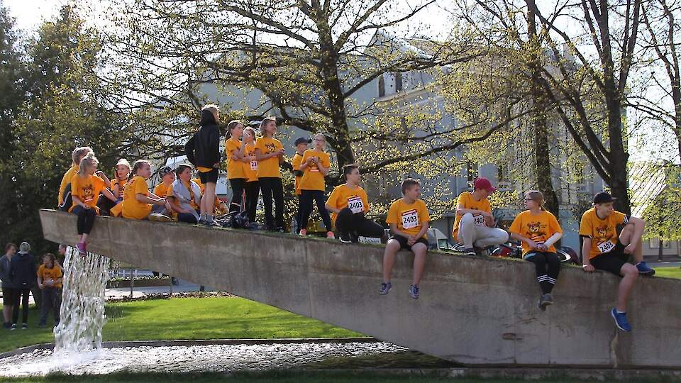 Парк в центре города Выру