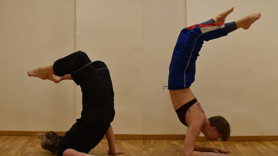 Школа танцев Just Dance