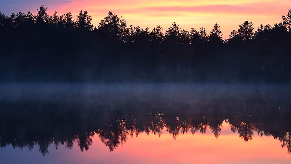 11th International Shallow Lakes Conference