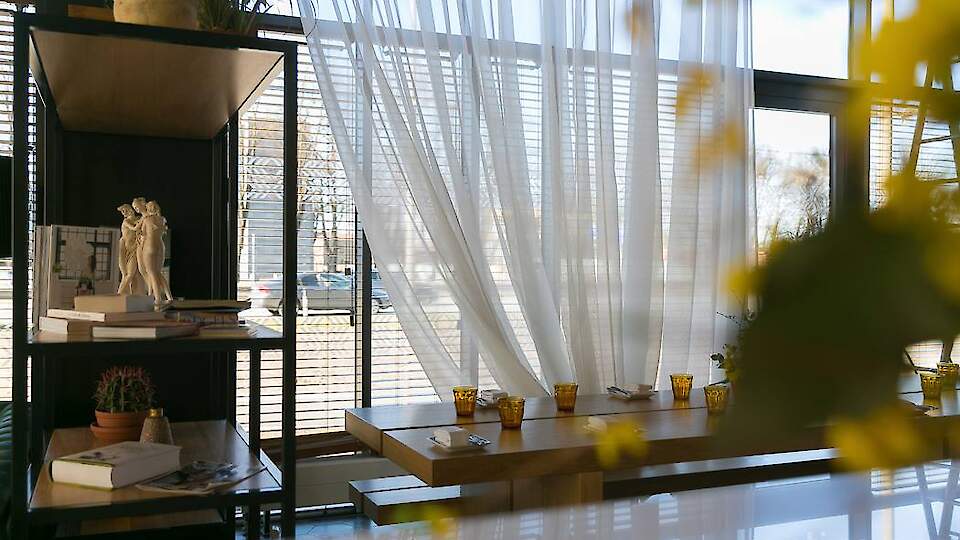 Motiva | Window blinds