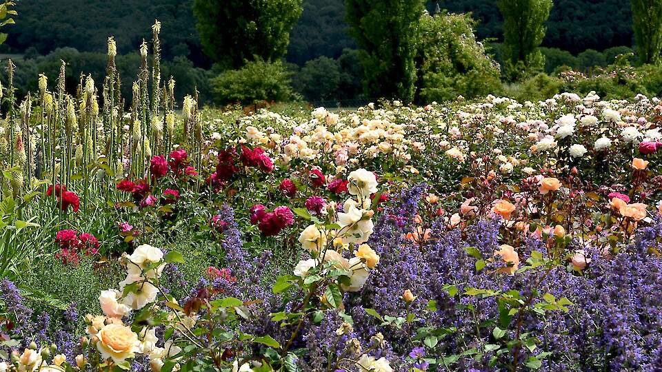 Garden.ee | We make gardens smile!